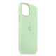 Funda De Gel De Silicona Apple Iphone 13 Verde Premium