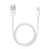 Cabo De Dados Apple A1510 Branco Md819zm/A 2m