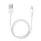 Cable De Datos Apple A1510 Blanco MD819ZM/A 2m