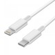 Cabo De Dados Usb Tipo C Para Lightning Apple A1702 Branco 2m Original